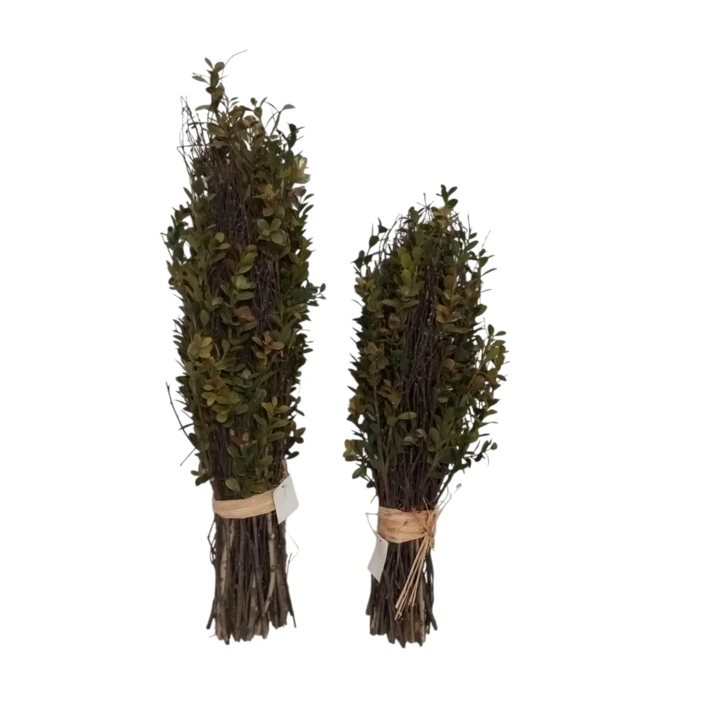2 Topiary Boxwood Preserved Mix Plant Bundles